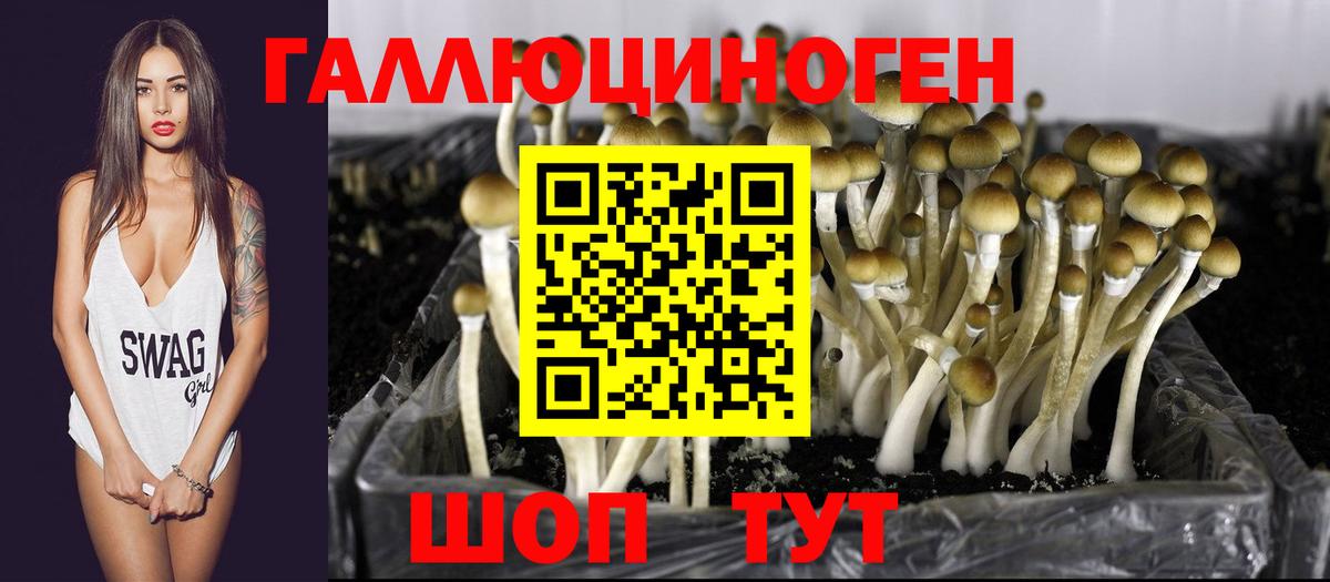 где можно купить   Псилоцибиновые грибы Magic Shrooms  Вход с VPN  Кизилюрт 
